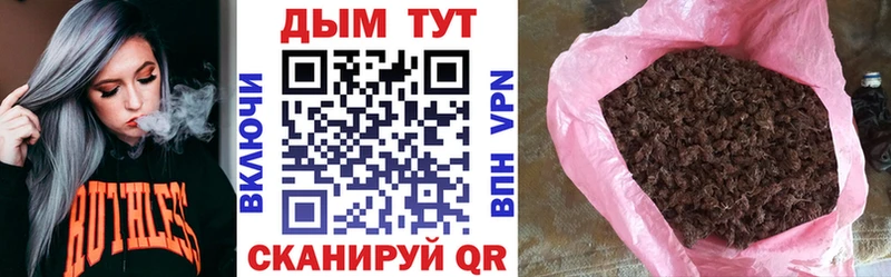 Альфа ПВП Будённовск