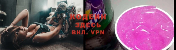 мет Бородино