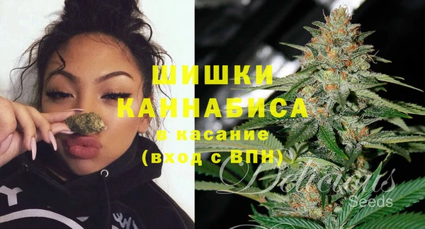 мет Бородино