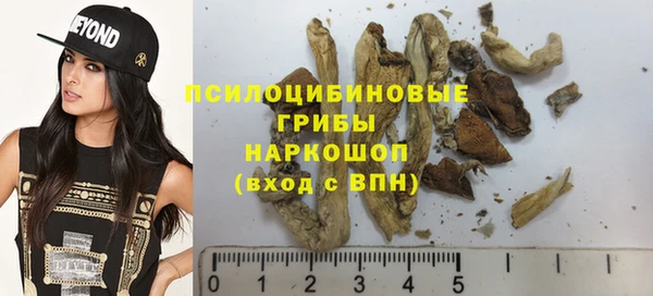 мет Бородино