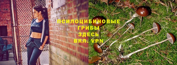 мет Бородино