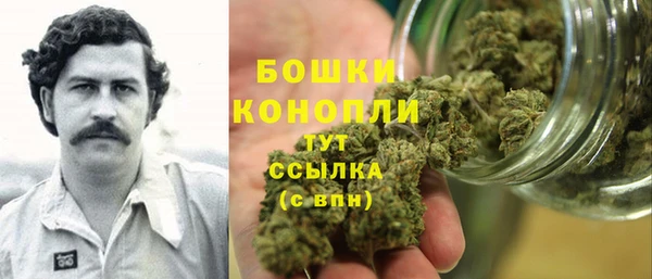 ГАЛЛЮЦИНОГЕННЫЕ ГРИБЫ Бронницы